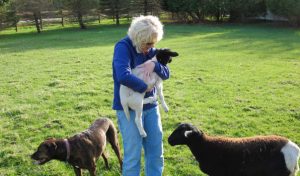 Lisa-Feiler-Breast-Cancer-Baby-Goats-OHC