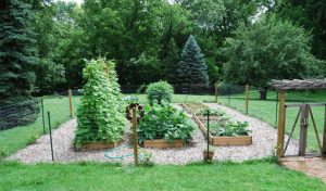 Lisa-Feiler-Breast-Cancer-Garden-OHC