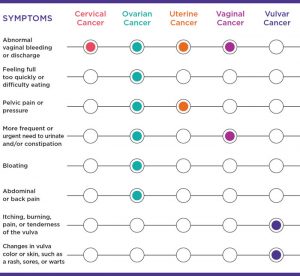 Female Gynecological Cancers Chart OHC